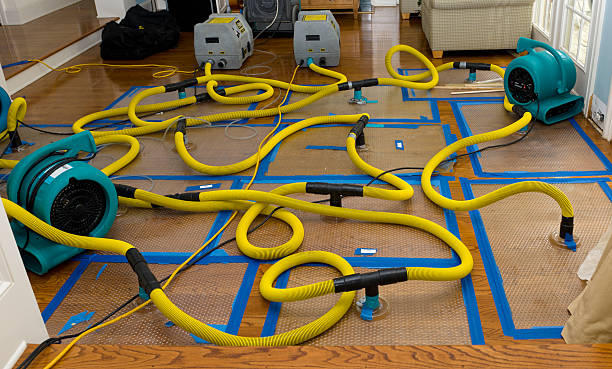 Professional Basement Flood Cleanup technician working in Dudley, MA
